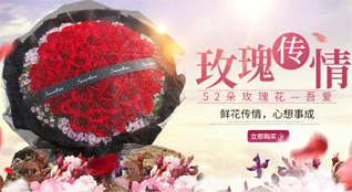 浙江省嘉兴嘉善县鲜花速递